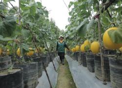 PHE Sabet Impact Masters Awards 2026 Berkat Program CSR Berkelanjutan