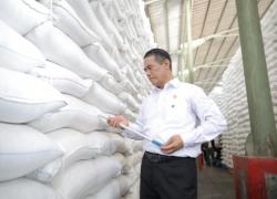 Produksi Beras RI Cetak Rekor Tertinggi Sepanjang Sejarah, Negara Lain Anjlok