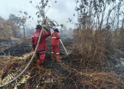 Rapor Penanganan Karhutla Hari Ini: Hotspot Berkurang 121, Riau Jambi Nihil