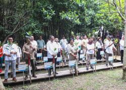 Rayakan Ultah Ke-25, Rakyat Merdeka-KLHK Tanam 25 Ribu Mangrove Di 25 Titik