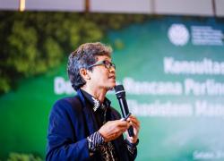 RPPEM Nasional Tetapkan Arah Perlindungan dan Budidaya Mangrove