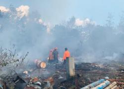 Sejumlah Daerah Mulai Kekeringan, Stok Beras Aman, Karhutla Mengancam