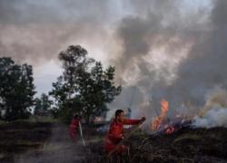 Singapura Siaga Karhutla Ganggu Negara Tetangga