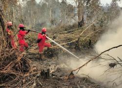 Sumatera-Kalimantan Belum Padam, Melebar Ke Papua Karhutla Akan Dibahas Di KTT ASEAN Manila
