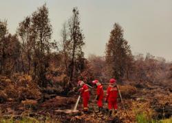 Tambah Dukungan Udara Dan Pemadaman Darat Pemerintah Perkuat Operasi Terpadu Karhutla Di Kalimantan