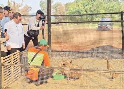 Tinjau Lahan 100 Hektare Di Tangerang, Pram: Ciangir Bukan Bantargebang Baru