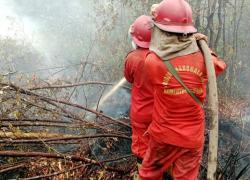 Hotspot Nasional Naik Jadi 118 Titik, Papua Selatan Terbanyak