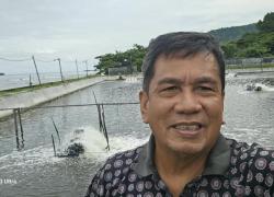 Udang Impor Tekan Petambak, Pemerintah Diminta Optimalkan Udang Lokal