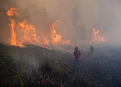 Update Karhutla: Riau Nol Hotspot, Kalsel Dan Sumsel Belum Padam