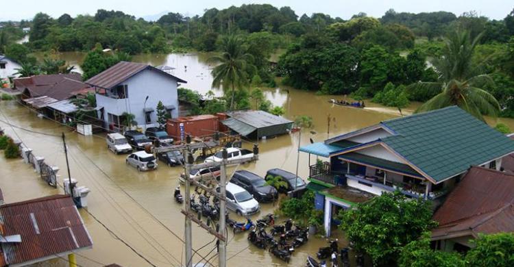 BMKG: La Nina Di Akhir 2021 Ancam Ketahanan Pangan