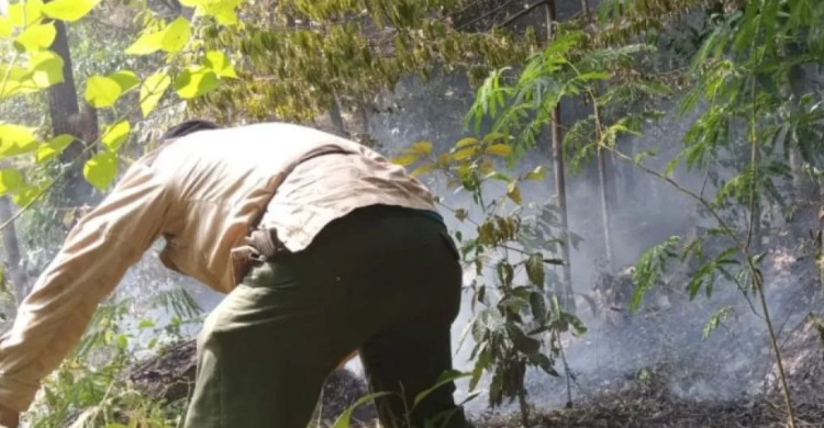 BPBD Kuningan Pastikan Kebakaran Di Gunung Ciremai Sudah Padam