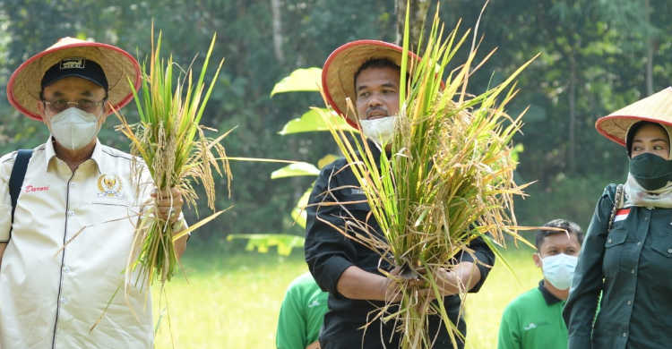 Kementan Dorong Pengembangan Pertanian Organik