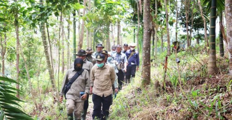 KLHK Lakukan Rehabilitasi Hutan Dan Lahan Di Lokasi Sulit Dan Kritis