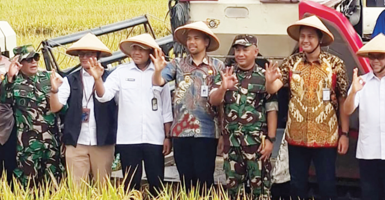Bulog Sumut lakukan pengecekan