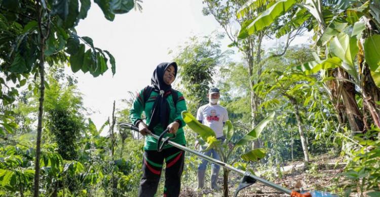 OMG Adakan Pembinaan Untuk Kemajuan Petani Kopi Tanggamu