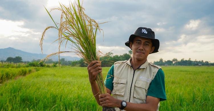 Pandawa Agri Dorong Transformasi Pertanian Berkelanjutan