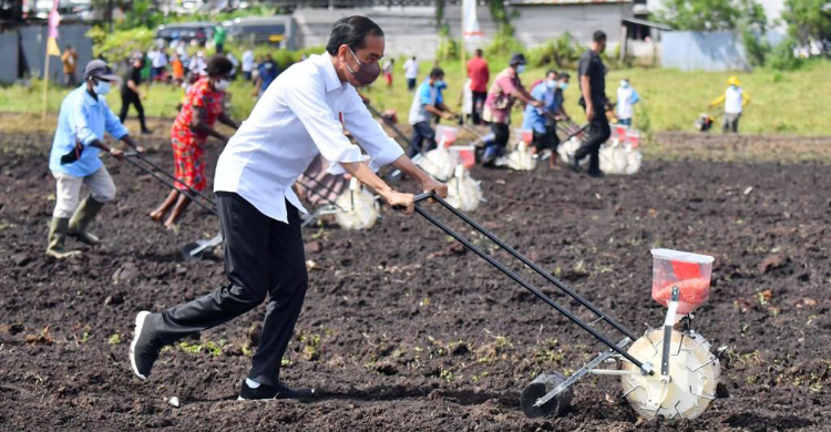 Saking Sayangnya Ke Papua Jokowi Tak Sarapan Langsung Blusukan