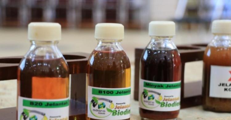 Sulap Minyak Jelantah Jadi Bahan Baku Biodiesel, Ini Syaratnya