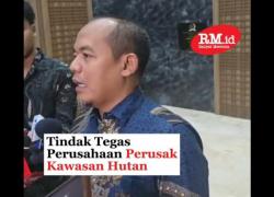 Tindak Tegas Perusahaan Perusak Kawasan Hutan