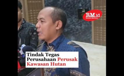 Tindak Tegas Perusahaan Perusak Kawasan Hutan