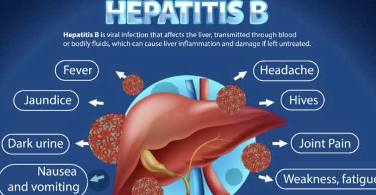 Hati-hati, Mayoritas Kasus Hepatitis B Di Indonesia, Ditularkan Dari ...