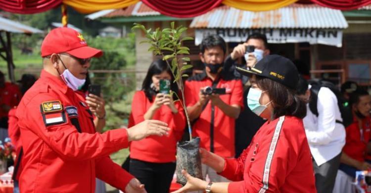 Hut Ke-48, Banteng Taput Tanam Pohon Di Tepi Sungai Sigeaon