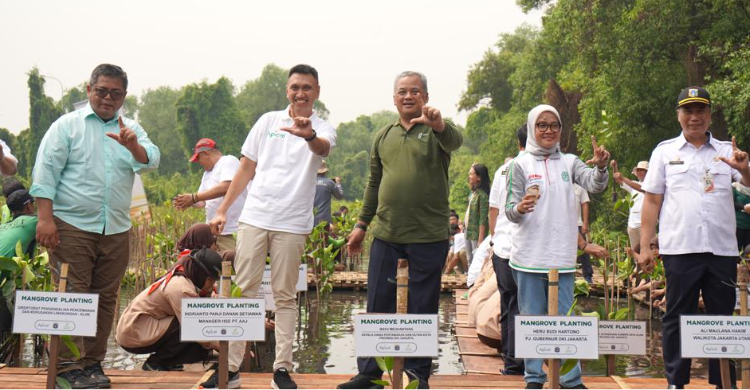 Peringati Hari Mangrove Sedunia, Apical Tanam 3.000 Pohon Mangrove Di ...