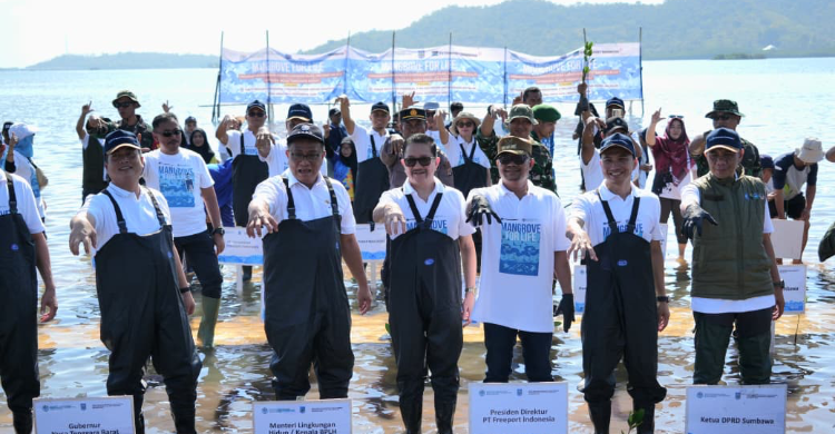 https://rm.id/images/berita/750x390/perkuat-ketahanan-pesisir-freeport--kementerian-lingkungan-hidup-tanam-5-juta-mangrove-di-ntb_317642.jpeg