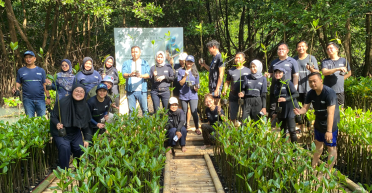 PNM Peduli Tanam 50 000 Mangrove Tekan Bencana Di Pesisir