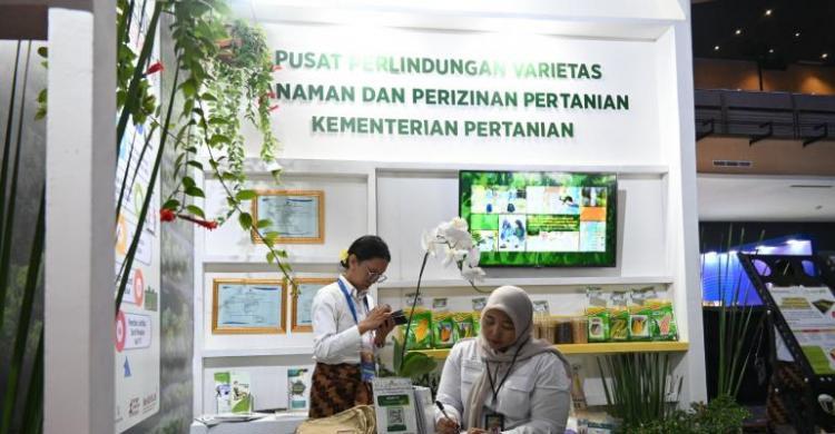 Pusat PVTPP Mempersembahkan Kebun dan Varietas Terbaik di Pameran IPxpose 2025