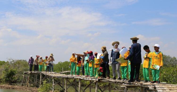 Sambut Hari Mangrove Sedunia, Pertamina EP Ajak Siswa
