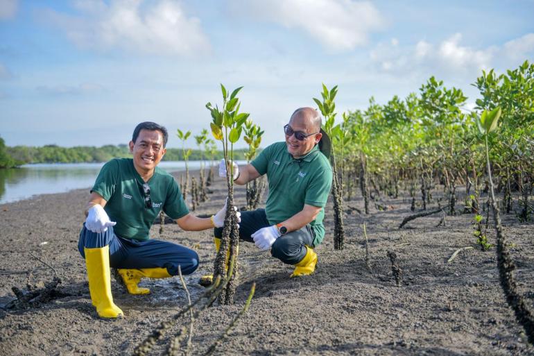 Dukung Investasi Hijau, Bank BSN Tanam Ribuan Mangrove di Teluk Benoa