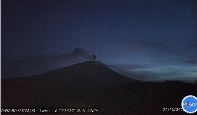 Gunung Ili Lewotolok Erupsi, Tinggi Kolom Abu 400 M Di Atas Puncak