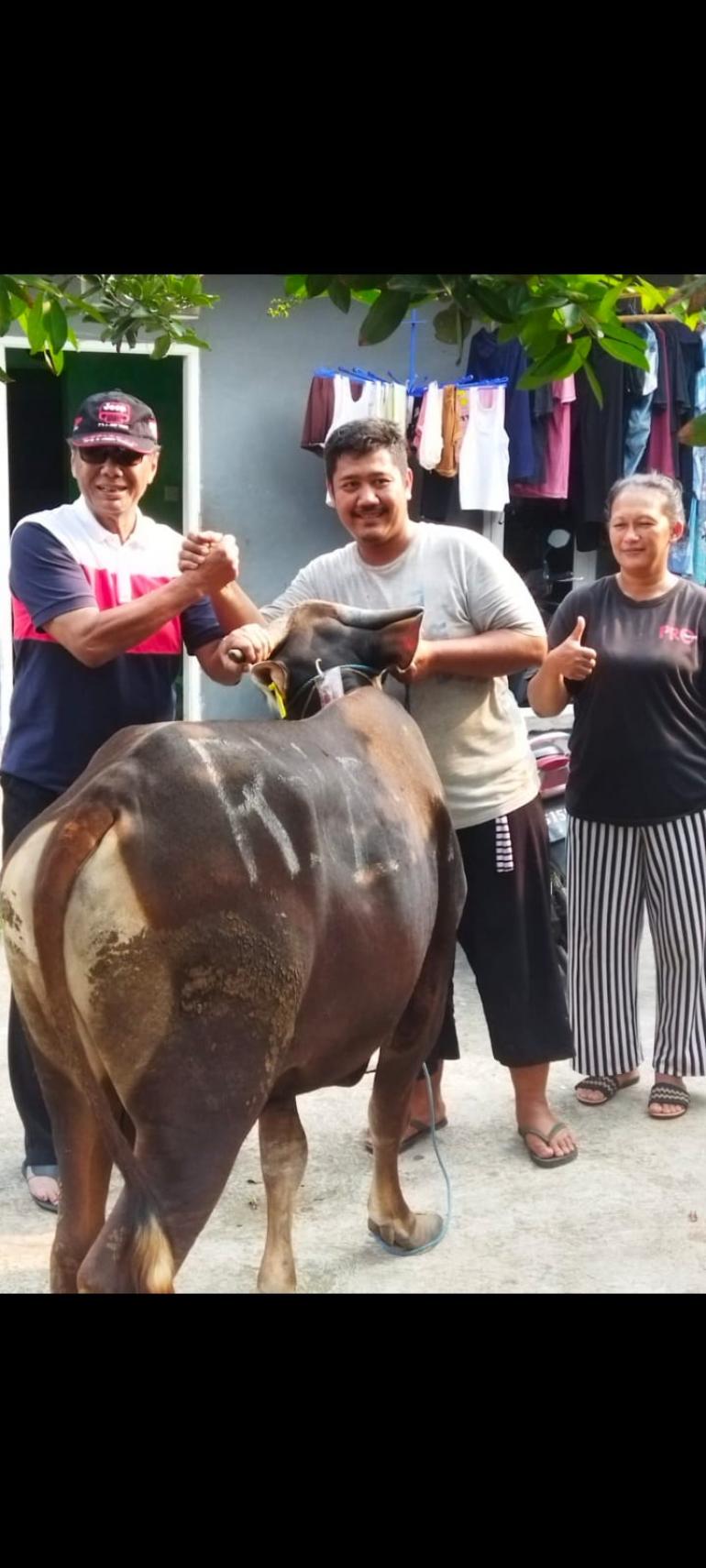 Lebaran Idul Adha Pdip Salurkan Puluhan Sapi Ke Warga Bekasi