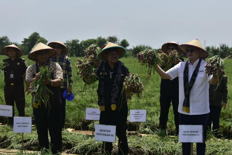 Mentan Dan Wamendag Lepas Pasokan Bawang Merah Ke Ibu Kota