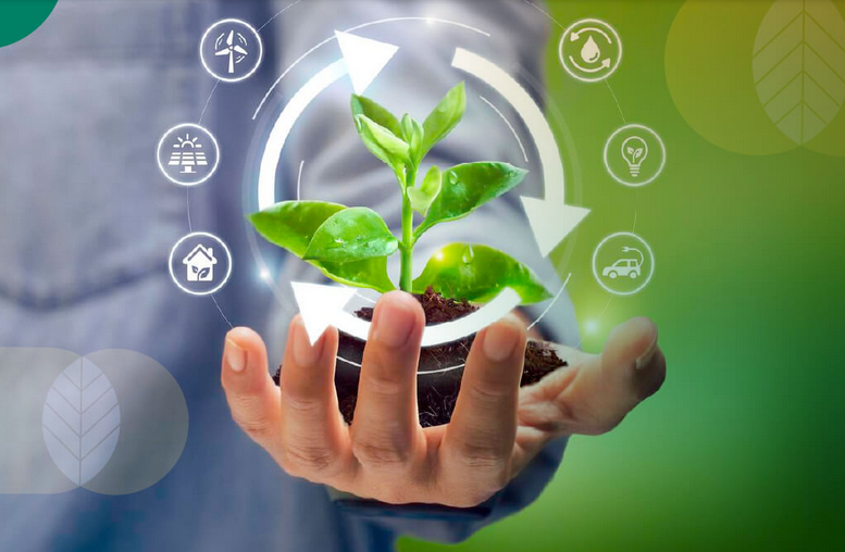 Peran Ekonomi Sirkular dalam Mengoptimalkan Sumber Daya Pertanian