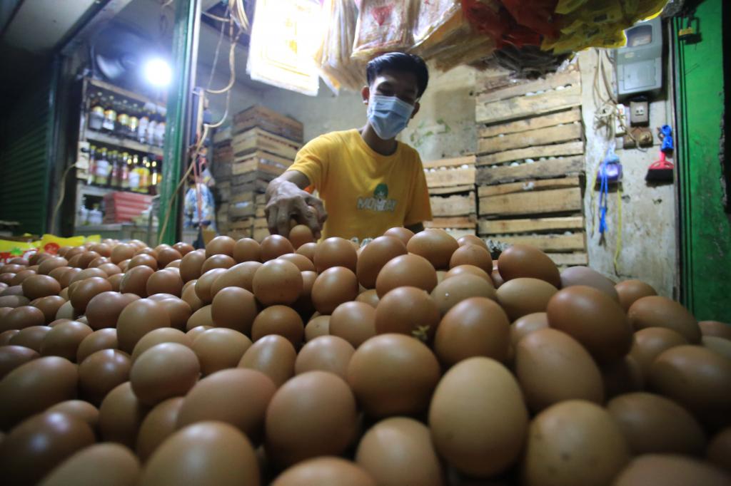 Harga Telur Naik
