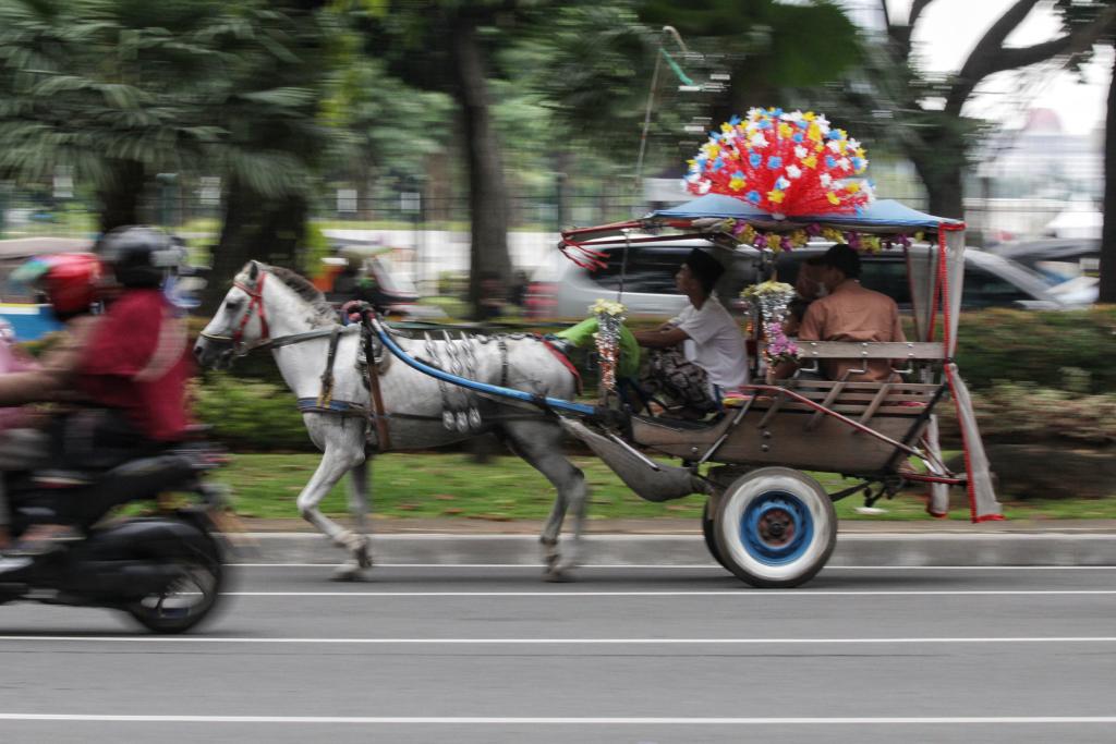 Wisata Delman