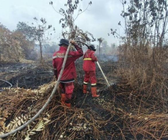 Rapor Penanganan Karhutla Hari Ini: Hotspot Berkurang 121, Riau Jambi Nihil