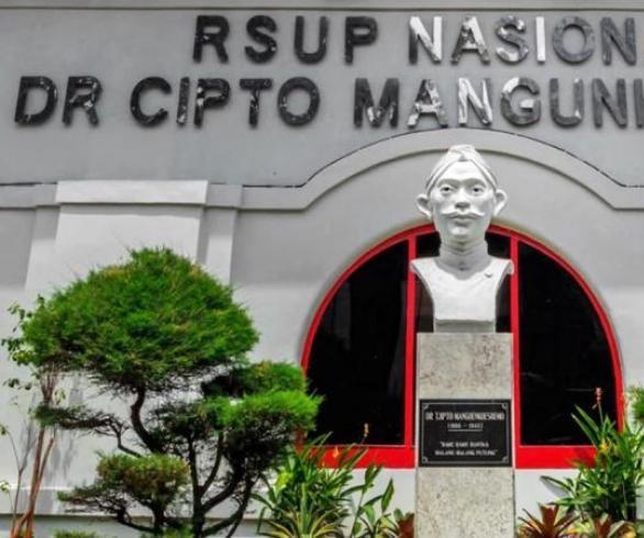 Bisa Pulang Pekan Ini RSCM Soal 2 Pasien Anak Asal Sumut: Tak Ada Gangguan Fungsi Otak, Ginjal Normal