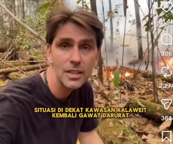 Menhut Perintahkan Water Bombing Atasi Karhutla Dekat Habitat 200 Orangutan