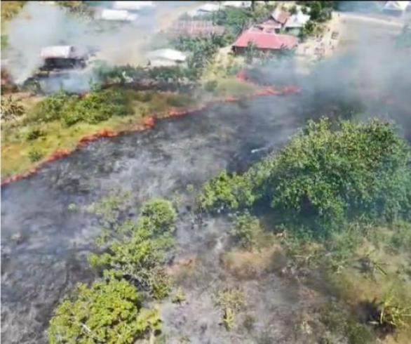 BNPB Catat Karhutla Di 4 Daerah, 16 Hektare Lahan Terbakar