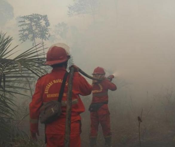 8 Fakta Karhutla Terkini: Hotspot Turun 288 Titik, Sumsel Tertinggi