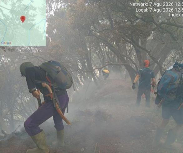 Kemenhut Gercep Padamkan Kebakaran di Gunung Gede Pangrango, Pendakian Ditutup