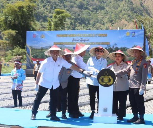 Menko Pangan: Panen Raya Bawang Putih Di Sembalun Kurangi Ketergantungan Impor