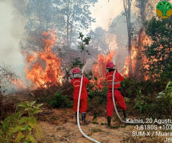 6 Provinsi di Kalimantan & Sumatera Jadi Prioritas Penanganan Karhutla