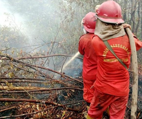 Hotspot Nasional Naik Jadi 118 Titik, Papua Selatan Terbanyak